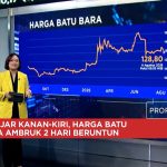 Harga Batu Bara Terjun Bebas Minyak Goyah