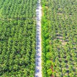 Bakrie UNSP Private Placement Rp435 T Demi Ini
