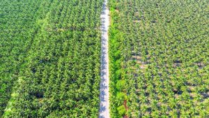 Bakrie UNSP Private Placement Rp435 T Demi Ini