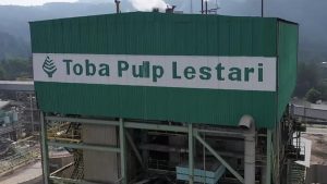 Skandal Pajak Rp2 T Toba Pulp Buka Suara