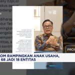 Strategi Gila Telkom Pangkas Anak Usaha