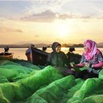 BRI Buka-bukaan Cara UMKM Jadi Raja Ekonomi
