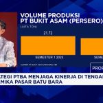 PTBA Bongkar Jurus Baru Bisnis Energi