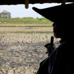 Harta Karun Emas Terbesar di Sawah Klaten