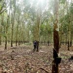 Strategi Baru Bakrie Ekspansi Bisnis Minyak