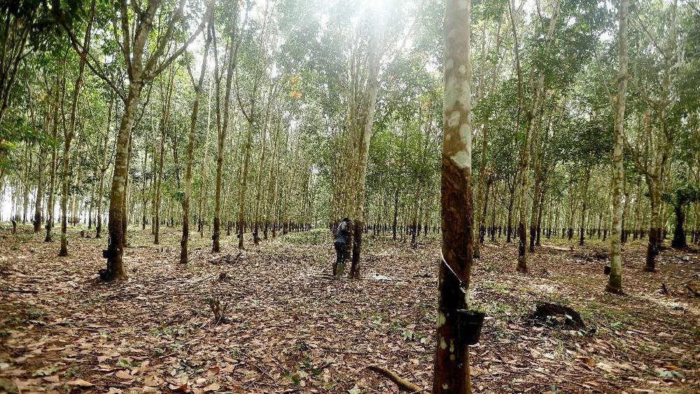 Strategi Baru Bakrie Ekspansi Bisnis Minyak