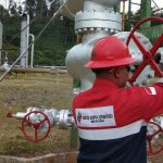 Geo Dipa Perkuat Peran Ekonomi Hijau