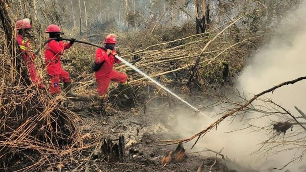 Skandal Kabut Asap Singapura Libatkan Emiten